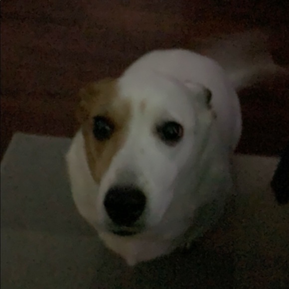 Meet your Posher, Melanie - Picture 1 of 1